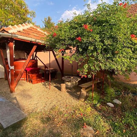 Arpad Nyaralohaz Villa Sarud Buitenkant foto